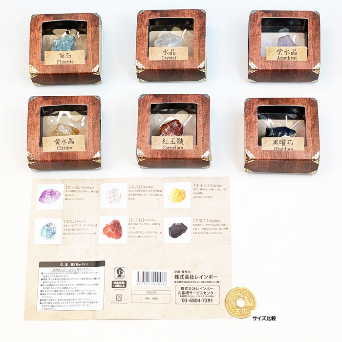 ♯Gzi10Fe好奇心倶楽部化石・鉱物標本図鑑2全12種ケース付き観察