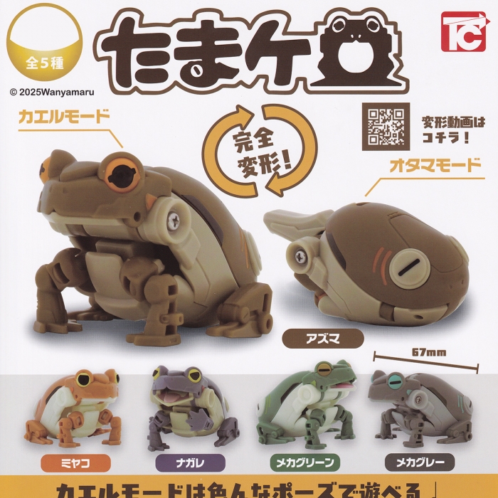 たまケロ トイズキャビン 【全5種セット(フルコンプ)】 2025Wanyamaru