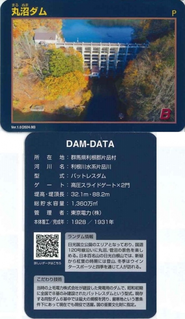 数量限定セール  重要文化財※ とっても珍しい「バットレスダム」の【 丸沼ダム その他