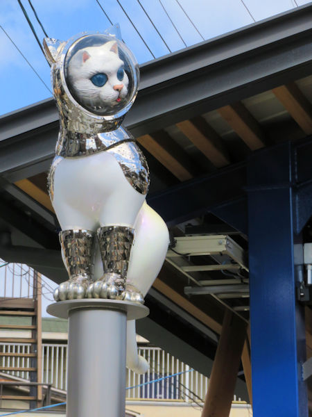 宇宙ネコ？ | しょうぐうさんブログ