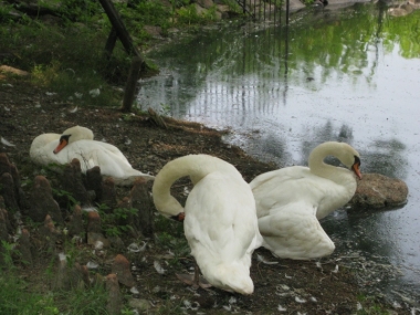 դΥ饯祦ڱǡ֥ϥ祦