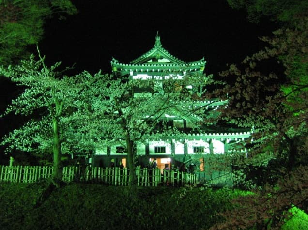 高田城の夜桜