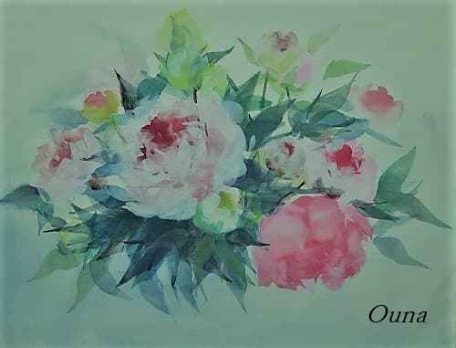 芍薬 の 水彩画（習作）・・ 写真ソフトで編集・加工して感じを変えて