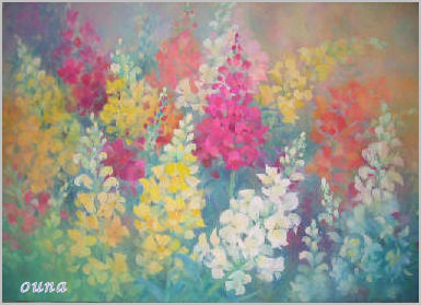 キンギョソウ（金魚草）の 絵 … きんぎょ～え～きんぎょ