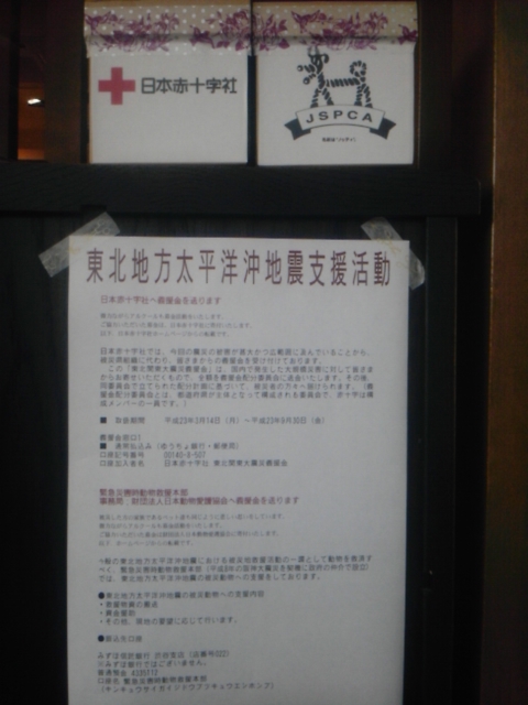 20110330_886371.jpg