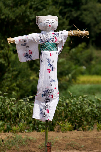 図師町の案山子（3） | あんぐるエフ