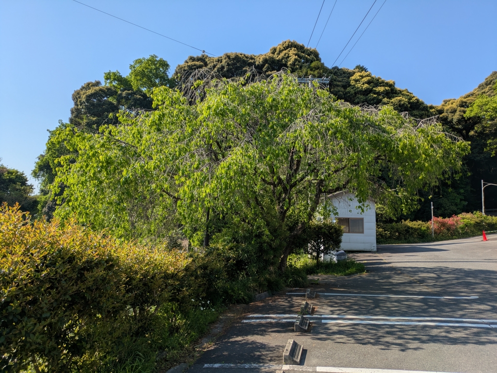 慈 妙 院 動物 霊園
