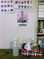 20110407-2.jpg