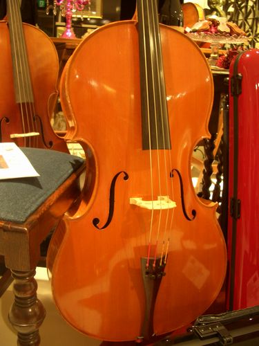 ITALIA MODERN CELLO | 福岡の弦楽器店 BOTTEGA SERPENTUVA