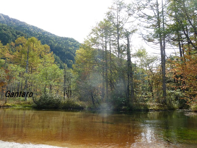 上高地その4 田代池湿原 | ガンタロー旅日記