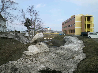 2011033011300002.jpg