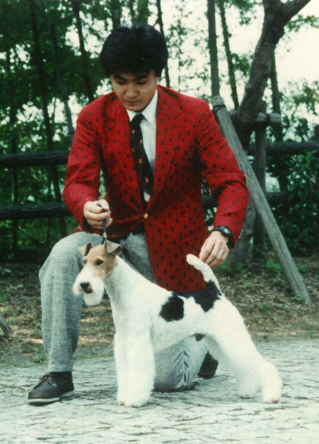 MY WIRE FOXTERRIER HYSTRY SINCE1988. | Clumber Up News