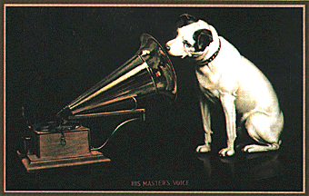 FOXTERRIER(SMOOTH)@Crufts | Clumber Up News