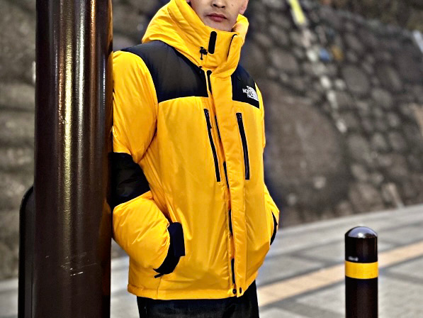 ザノースフェイス THE NORTH FACE WINDWALL フリースジャケット ジップ 