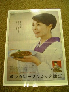 アンティーク　ボンカレー　1992年物　松坂慶子さん 番外編：ボンカレークラシック | やまもと工藝 きるものがたり