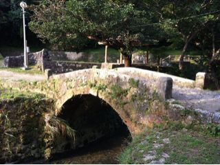 20110217070538_0.jpg