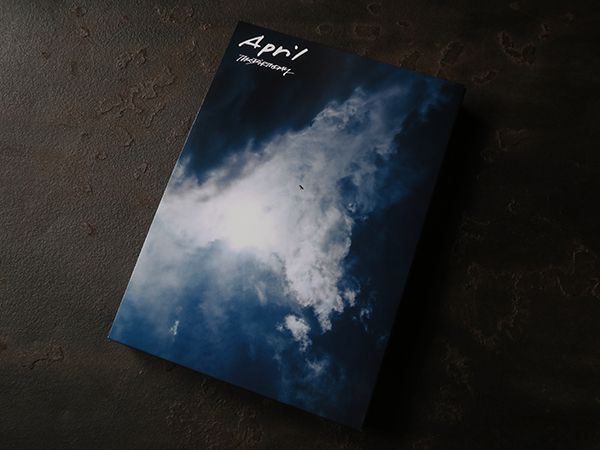 April The Birthday レコード April The Birthday レコード April (重量盤レコード) : The