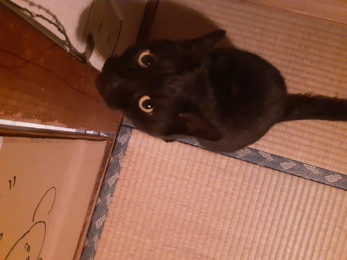 スウィング公共図書館, photo 2
