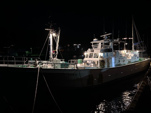 マルチュウファクトリー トリッキー59 #7 TRICKY 59 #7 製品紹介