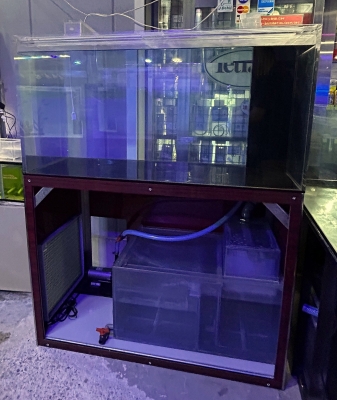 1200x600x600中古OVF水槽セット入荷情報 | エキゾチック