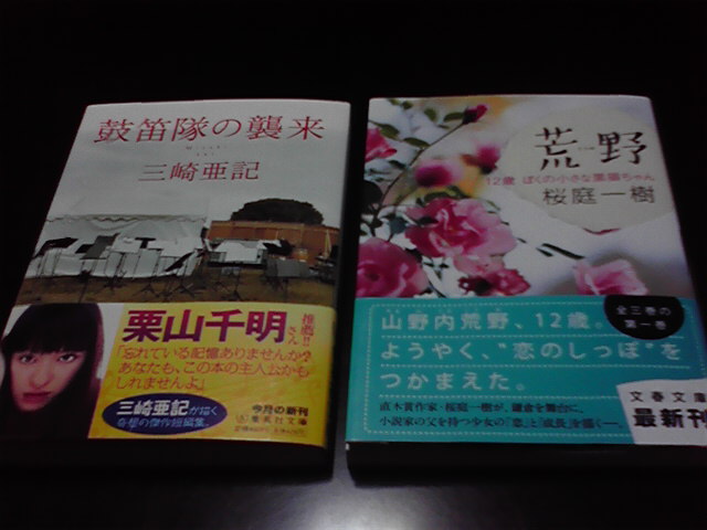 2011052500130000.jpg