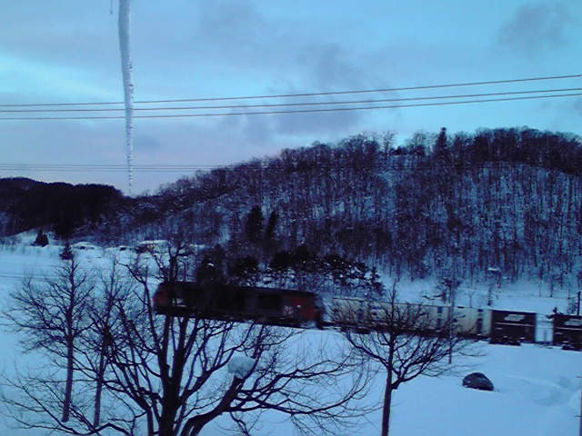 2013012506520000.jpg