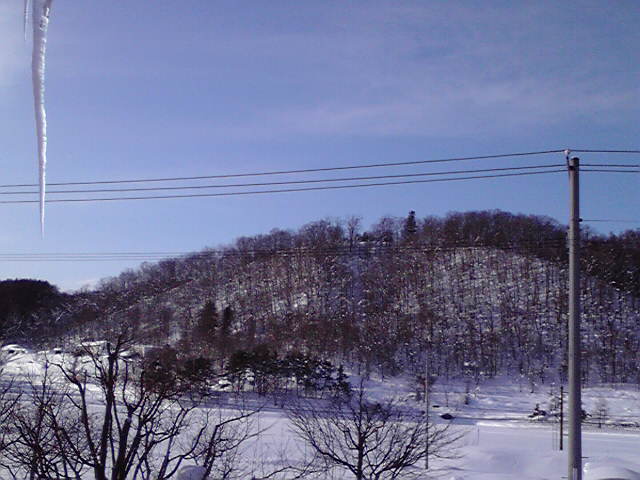 2013012708350000.jpg