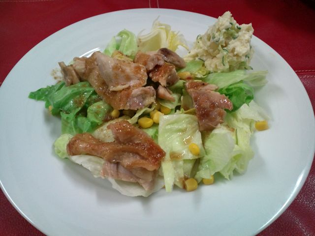 家庭用水耕栽培の作り方 - 家庭用水耕栽培のステップバイステップの作り方