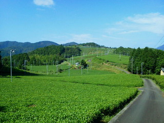 201108300908000.jpg