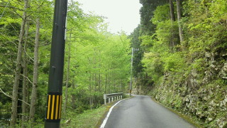 201205031545000.jpg