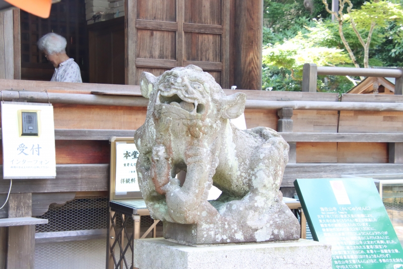 拘り？の雌雄狛犬 海住山寺 | オオヌマズの玉手箱