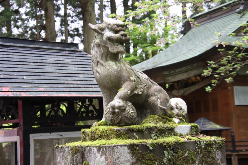 スレンダーな狛犬？？ 庭月観音 | オオヌマズの玉手箱