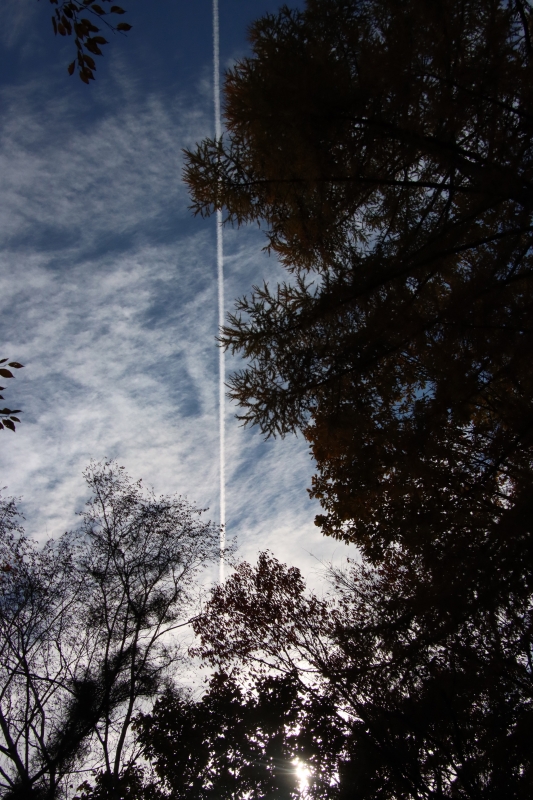 切り裂く 晩秋の空 | オオヌマズの玉手箱