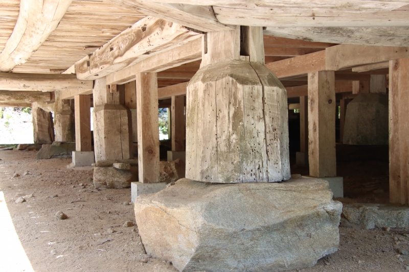 山中に潜む仏の群れ 山添村薬音寺 | オオヌマズの玉手箱