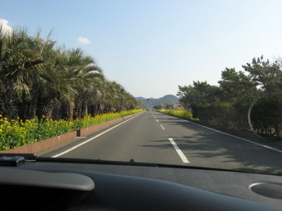 常春の南房総をクルマでぼうそう(笑) 南房総ドライブ記 『心はいつもピーカンなり』