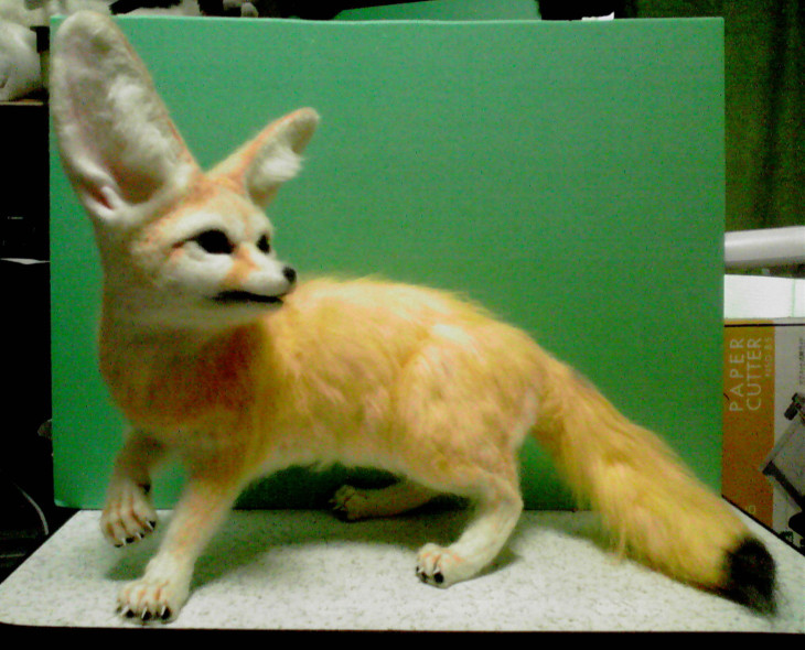 フェネック人形 羊毛、綿、フェイクファー | 猫人形の部屋 隻眼の猫