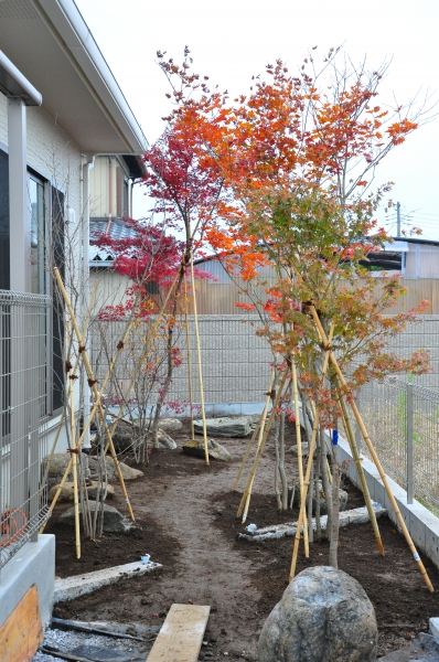 ローメンテナンスな庭 | ZOEN ARAI PHOTO DIARY