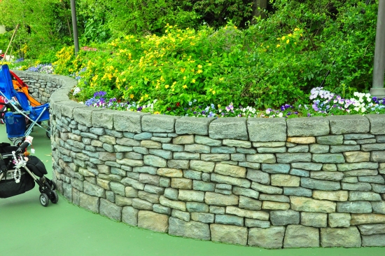 ディズニーランドスケープ | ZOEN ARAI PHOTO