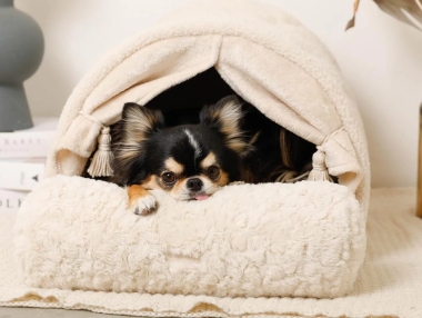 モンシェリ】保温アルミシート入りドームハウス ドッグウェア・犬服