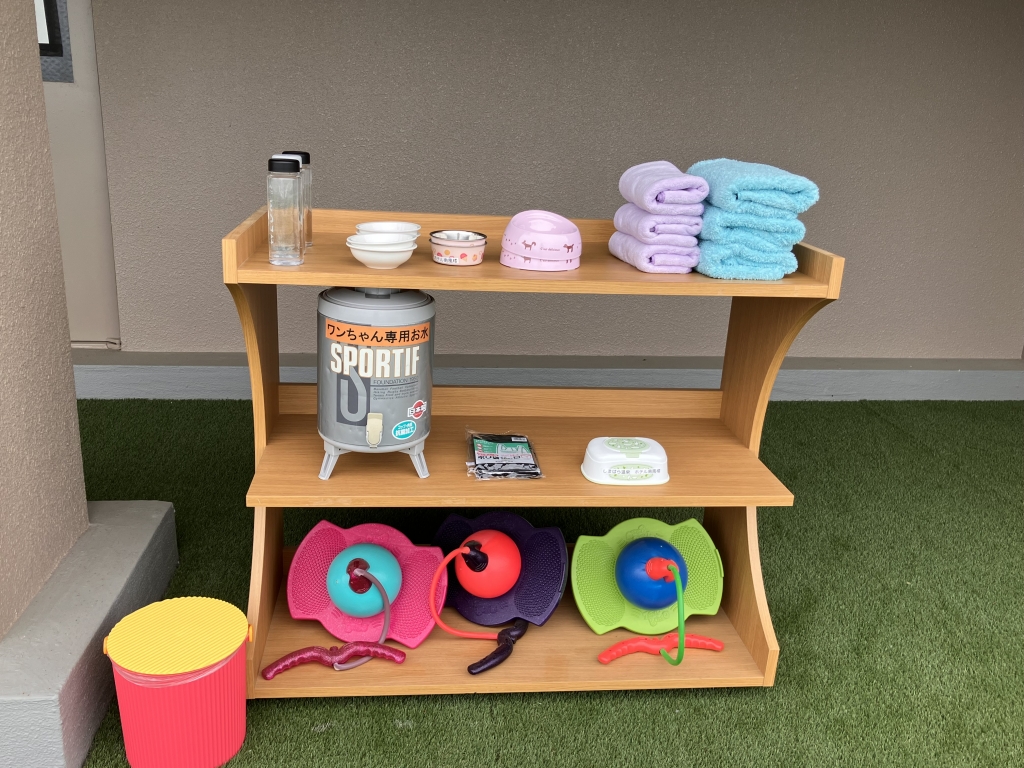 GW限定OPEN🐶✨】海が見える屋上ドッグラン、本日より開放🌊☀️ | 南