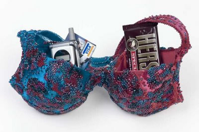 Bra Purse-2