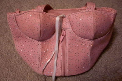 Bra Purse-3