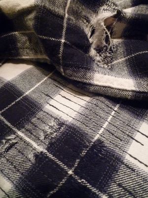 pledge プレッジ ブリーチ ネルシャツ ブルー 青 ナンバーナイン グランジ カートコバーン 低価，人気SALE プレッジ Pledge ネルシャツ 赤系 サイズ46