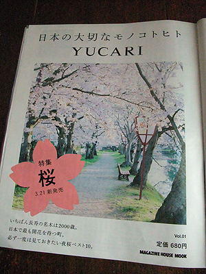 2012年04月の記事 | TJ