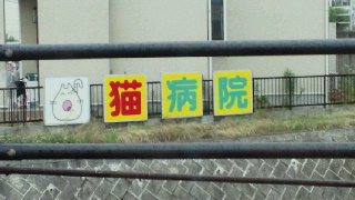 2011072517300000.jpg