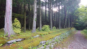 日浦登山口から銅山越・東山へ・・・・・ | 三日坊主の・・・いつまで続けられるかな?