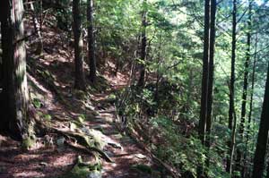 日浦登山口から銅山越・東山へ・・・・・ | 三日坊主の・・・いつまで続けられるかな?