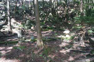 日浦登山口から銅山越・東山へ・・・・・ | 三日坊主の・・・いつまで続けられるかな?