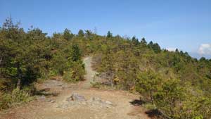 日浦登山口から銅山越・東山へ・・・・・ | 三日坊主の・・・いつまで続けられるかな?