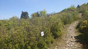 日浦登山口から銅山越・東山へ・・・・・ | 三日坊主の・・・いつまで続けられるかな?